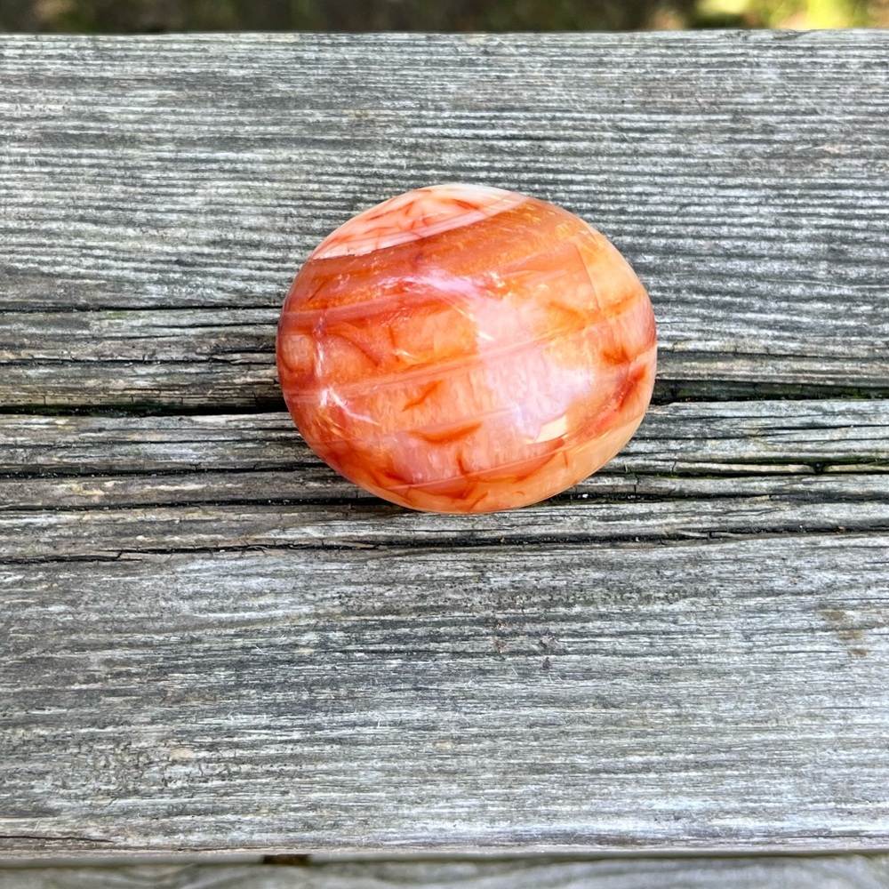Carnelian Palm